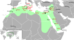 Fatimid Caliphate who built Cairo in 909